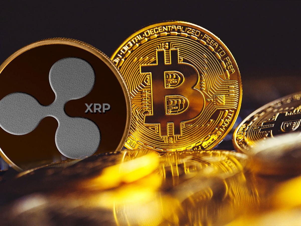 XRP sẽ giảm xuống dưới 0,50 USD? Các chỉ số cần theo dõi vào tuần tới